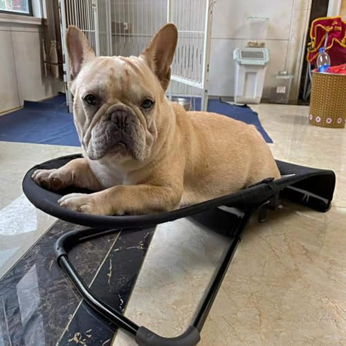 Amaca portatile per cani, sedia a dondolo per interni, altezza regolabile, in rete di poliestere traspirante, letto per cani di piccola taglia