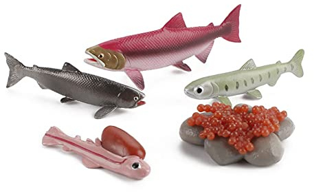 LICHENGTAI Modello Animale di Simulazione, Ciclo di Vita Animale Altamente Simulazione, Ciclo di Vita Tartaruga Gallina Oca Polpo Figure Animali Marini Giocattoli Educativi per Bambini