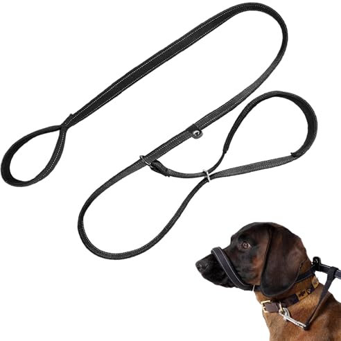 1.8m Figure Of 8 Dog Lead, Reflective Slip Lead No Pull for Training, Adjustable for Small, Medium and Large Dogs (Flat Rope)