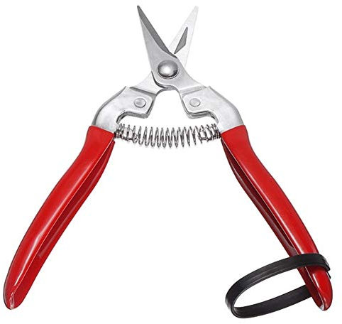 CCKUHN Tijeras de podar, Tijeras de bordear, Tijeras Multiusos, Tijeras de jardín, Tijeras para setos, Tijeras de podar, Cortador de césped para jardín, Tijeras para recolectar Frutas, t