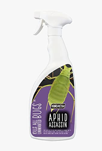 UK GROW:300ML -Aphid assassin- Powerful Insect Killer Sprays Protect Your Plants from ALL Pests- Perfect For Edible Crops (300ML, Aphid Assassin)