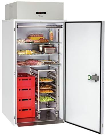 Mini Chambre Froide Positive 1240 L avec Groupe - Bartscher - R290 - Tôle d'acier 975x1040x2200mm