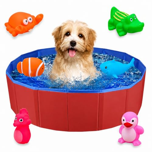 Piscina pieghevole per cani, piscina per cani di piccola taglia, piscina pieghevole in PVC per cani di piccola taglia, piscina con 6 giocattoli d'acqua, mini piscina per gatti, 50 x 8 cm, 1 pezzo