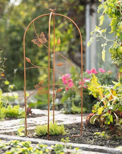 Dekoleidenschaft Rankhilfe Schmetterling aus Metall in Rost-Optik, 104 cm hoch, Rankgerüst rund, Gartenstecker, Rankturm