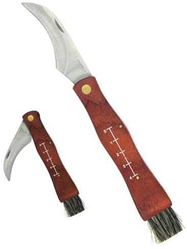 Generico Coltello da Funghi Pieghevole Professionale con Spazzola Integrata e Righello – Lama Curva in Acciaio Inox, Manico in Legno, Coltello Raccolta Funghi per Bosco e Outdoor