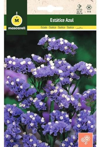 Mascarell Semillas, ESTATICE AZUL, Semillas Flores Exterior para Decoración, 0,4 Gramos
