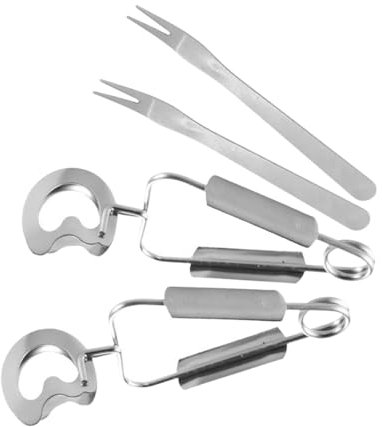 VERDANVERSE 2 Set Clip in Acciaio Inossidabile Piccolo Cucina Pinze Per Alimenti Tong Pinza Strumenti Di Pesce Forchetta Da Frutta Forchettone in Acciaio Inox Forchetta Da Portata Argento