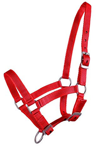 QHP Nylonhalfter Fohlen-Halfter 3fach verstellbar stark (Shetty-Fohlen, Rot)