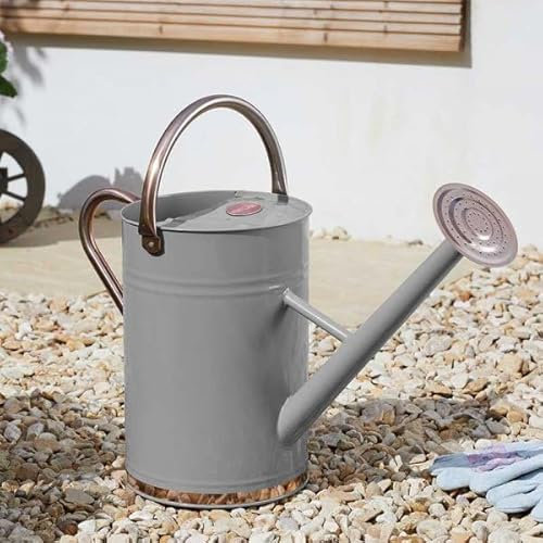 Garden Mile Arrosoir pour plantes en acier galvanisé 9 L - Avec poignée et rose amovible - Résistant à la rouille