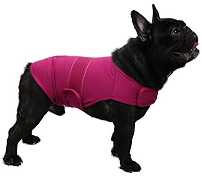 TT.WALK Chaleco calmante para Perros,Abrigo para aliviar la ansiedad,Chaqueta para Perros Anti-ansiedad,Chaleco calmante para Perros pequeños(Rosa,M)