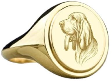 LKBEADS Bloodhound-ring i 925 sterlingsilver | guldpläterad ring | oval form, 15 x 13 mm, sigillring | bandstorlek US 5–12,5, avelaibal | LKDR_0441