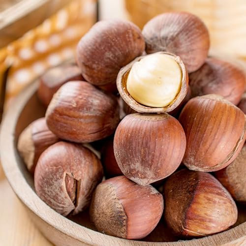 25 pcs haselnussstrauch kaufen samen, haselnuss pflanze winterhart, zimmerpflanzen echt, pflanzensamen geschenk, haselnuss samen (Corylus avellana) topfpflanzen echt, gartensamen