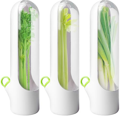 BAIFULAI 3 contenitori per erbe aromatiche per coriandolo, contenitori per erbe aromatiche, frigorifero, contenitore da cucina, contenitore per erbe fresche, Herb Keeper Fridge per coriandolo, menta