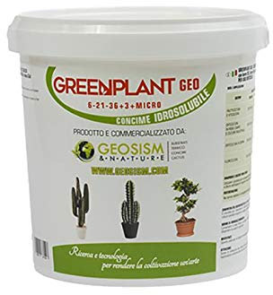 Greenplant, NPK(Mg) 6-21-36+(3) + microelementi (1 kg), concime in polvere idrosolubile per piante e fiori