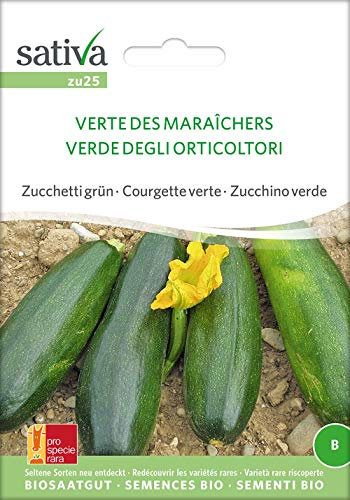 Sativa Rheinau zu25 Zucchini Verte Des Maraîchers (Bio-Zucchinisamen)