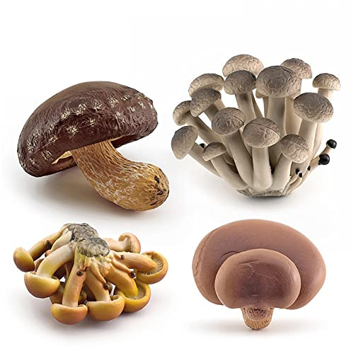 JAWSEU Giardino in Miniatura Bonsai Ornamento, Figurine del Fungo Mini Casa Ornamenti Animale, Giardinaggio Funghi Miniature per Vaso di Fiori Bonsai Paesaggio Ornamento Accessorio