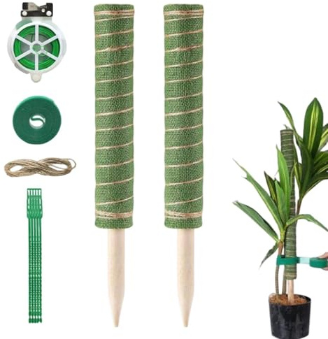 Genérico Tutore per piante di Monstera, con legacci da giardinaggio, supporto per piante rampicanti, uso in filodendro interno, fioriera, balcone, patio, giardino e serra