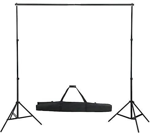 vidaXL Kit de Estudio Fotográfico con Set de Luces, Fondo y Reflector Soporte Pantalla Foto Video Sistema Lámparas Luz Iluminación Plegable