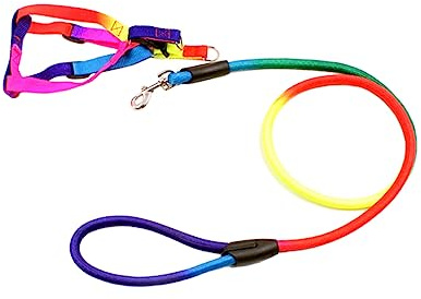 BESTonZON Laisse pour Chien Harnais Coloré pour Petits Animaux Traction Durable Accessoires pour Promenade et Dressage