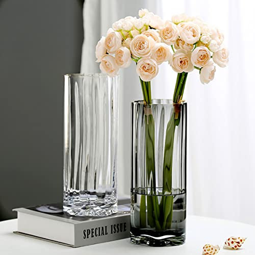Vase Glas Zylinder Tulpenvase Blumenvase Modern Glasvasen für Tischdeko,Home Office Dekor Vasen,10 * 25cm (Transparent)