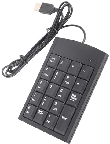 Risegun USB Numeric Keypad, Portable Number Pad Wired Numpad 19 Keys Mini Keyboard for Laptop, Desktop Computer, Notebook (Black)