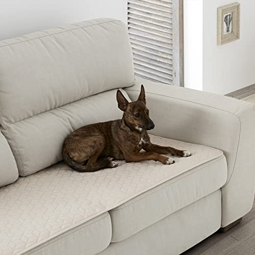 Lanovenanube Topper Antimanchas Gaia de 65x160 cm - Color Beig