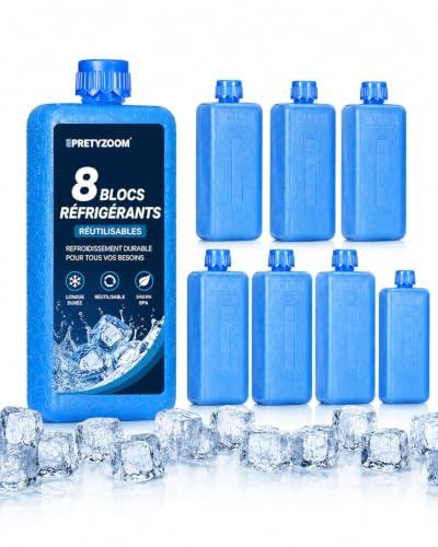 PRETYZOOM 8 Pains de Glace Mini à Remplir pour Rafraîchisseur d'Air | Réutilisables, format 11,5 x 4 x 3 cm pour glacière, isotherme, lunch box, camping, pique-niqu et courses