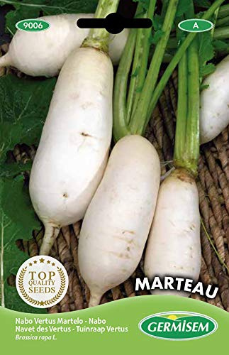 Germisem Marteau Semillas de Remolacha 5 g