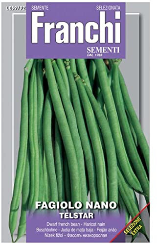 SEMI FAGIOLO NANO TELSTAR FRANCHI SEMENTI
