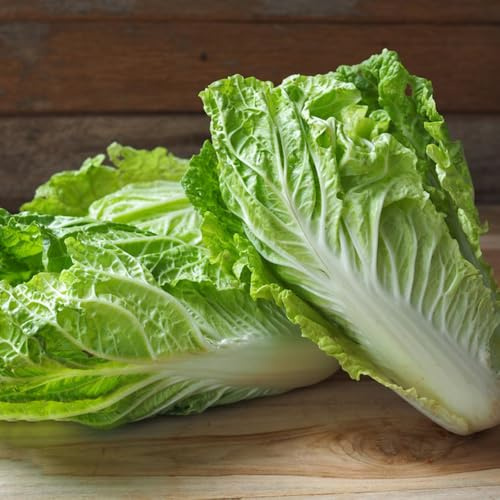 Semillas de col china - jardín del balcón Semillas de Pak Choi - raras verdes semillas de jardín semillas de invierno 80pcs