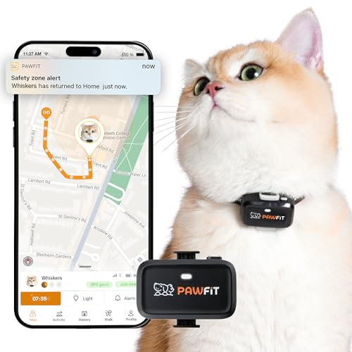 Pawfit Lite for Cats 4g GPS-Tracker | Echtzeit-Tracking | Aktivitätsüberwachung | Standortverlauf | unbegrenzte Reichweite | Sicherheitshalsband enthalten | Anthrazit