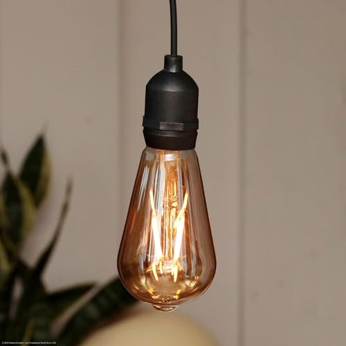HELLUM LED-hängande lampa med batteri och fjärrkontroll, dimbar, gyllene glödlampa utan el för utomhus- och inomhusbruk, dekorativ hänglampa, vattentät med timer för bröllop, utomhus, fest, jul 150407
