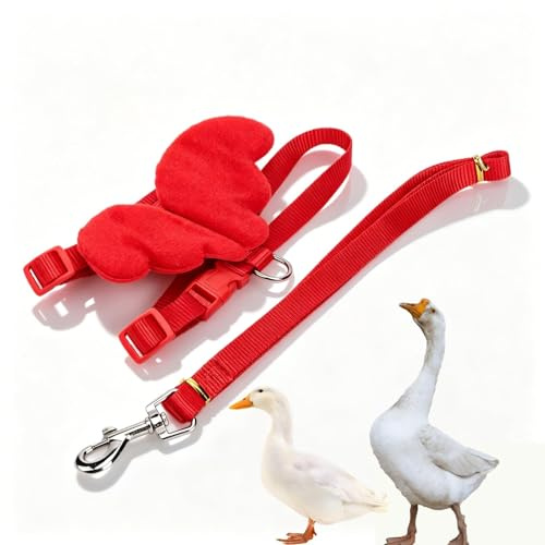 Harnais Réglable pour Poules avec Laisse, Corde de Traction pour Canards de Compagnie, Gilet à Sangle de Poitrine pour Poules et Oies Harnais de Marche Extérieur avec Laisse (XS Rouge)