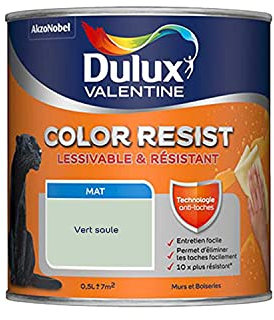 Dulux Valentine Color Resist Pièces à Vivre - Peinture Intérieure Murs, Plafonds, Boiseries - Lessivable et Résistante - Couleur : Vert Saule - 0,5 L