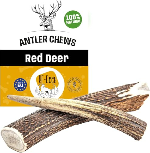 RF - DEER Naturlig hjorthornssats för hundar | Hjortben leksaker och godis | Hjort | Naturligt, säkert och hälsosamt mellanmål för din hund | 2 stycken | L | 142-240 g | 14-16 cm