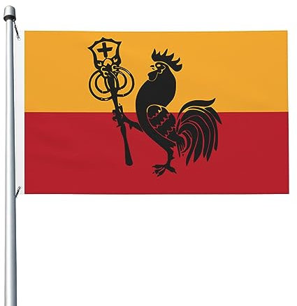 Bandiera della Romagna Bandiera 3 x 5 Ft bandiere bifacciali durevoli decorazioni da cortile bandiere per feste in casa bandiera di benvenuto