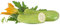 Semi ZUCCHINE GENOVESI In Busta Ermetica MADE IN ITALY Qualità superiore con 95% di germogliazione con istruzioni