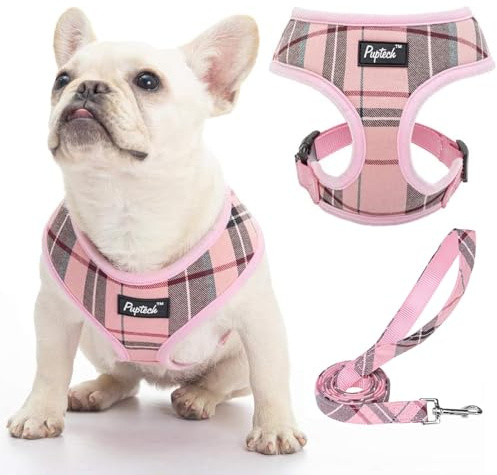 PUPTECK Small Dog Harness and Leash Set No Pull for XS XXS Sized Dogs Puppy