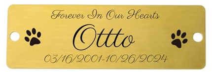 OTXIXTO Placa Grabada con Nombre para Escritorios de Oficina Puerta Pared Trofeo Placa Buzon Personalizada con Tornillos (Oro, Esquina Redonda, 3 x 1)