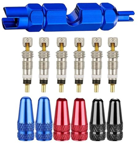Vibsky Kit di strumenti per la rimozione del nucleo della valvola compatibile con valvole francesi per biciclette e moto