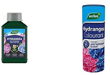 Westland 20100444 Hydrangea High Performance Liquid Plant Food 1 Litre & Hydrangea Colourant, 500 g