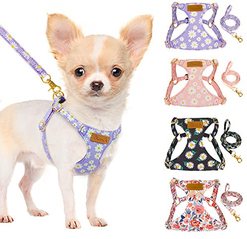 Lukovee Welpengeschirr und Leine, kein Ziehen, leicht, weiches Wildleder, verstellbar, mit Schnappschnalle für Welpen, kleine und mittelgroße Hunde (Violett, XXS)