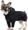 Hunderegenmantel, Wasserdichter Hundemantel mit Kapuze Regenmantel Kleiner Hund Wasserdichter Regencape Hund Klein(Schwarz, S)
