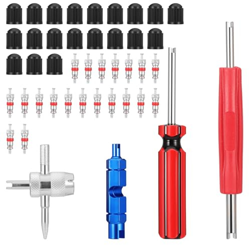 Coptiner Reifenreparatur-Set, Ventilkernentfernungswerkzeug, 20 Reifenventilkerne, 20 Ventilkappen, 4 Reifenventilkern-Wartungswerkzeuge für Auto-, LKW- und Motorrad-Reifenwartung, 44-teilig