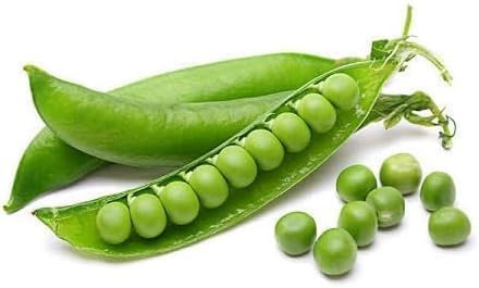 Graines de légumes de pois 100 pièces vertes