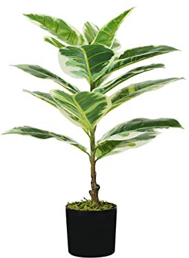 King Collection PIANTA FICUS ELASTICA H. 65 cm 15 FOGLIE