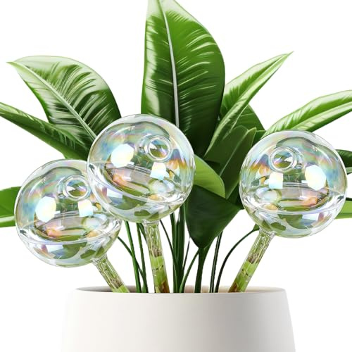 Yooyan 3 lampadine autoirriganti, sfere automatiche per l'irrigazione delle piante, sfumatura arcobaleno leggermente iridescente, erogatore di acqua per piante, sfere per piante interne ed esterne
