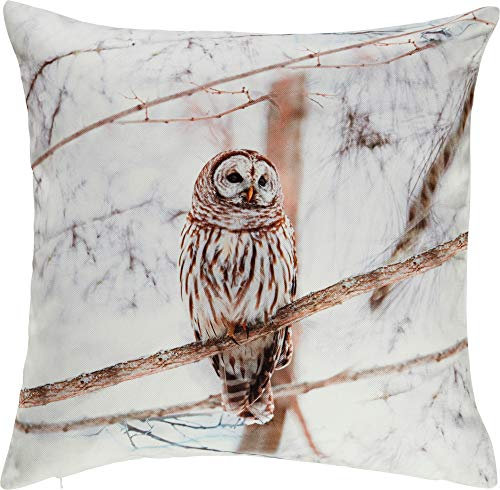 Erwin Müller Kissenhülle Eule Eule Größe 50x50 cm