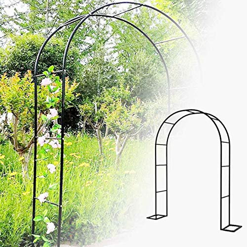FSCLJ Arc de Rose de Jardin en Treillis, Arcade de tonnelle de Jardin pour Plantes grimpantes clématites, Arcade d'escalade de Roses de Jardin, avec Cadre de Support, résistant aux intempéries