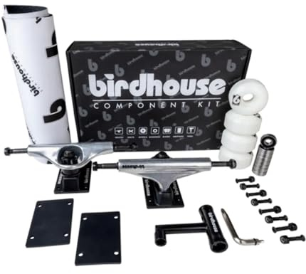 Birdhouse Kit Skate Component Kit 5.25 Silver/Black